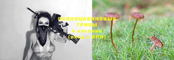apvp Аркадак