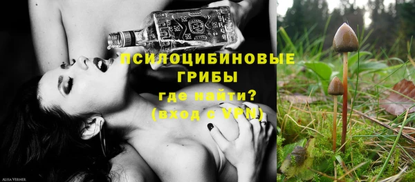 apvp Аркадак