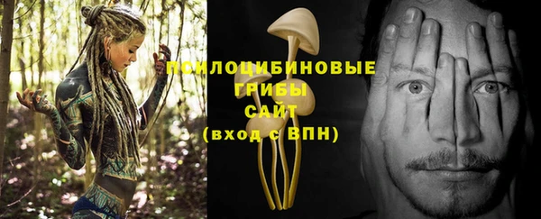 каннабис Арсеньев